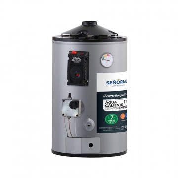 Termotanque SEÑORIAL Gris 30 LTS T DUAL