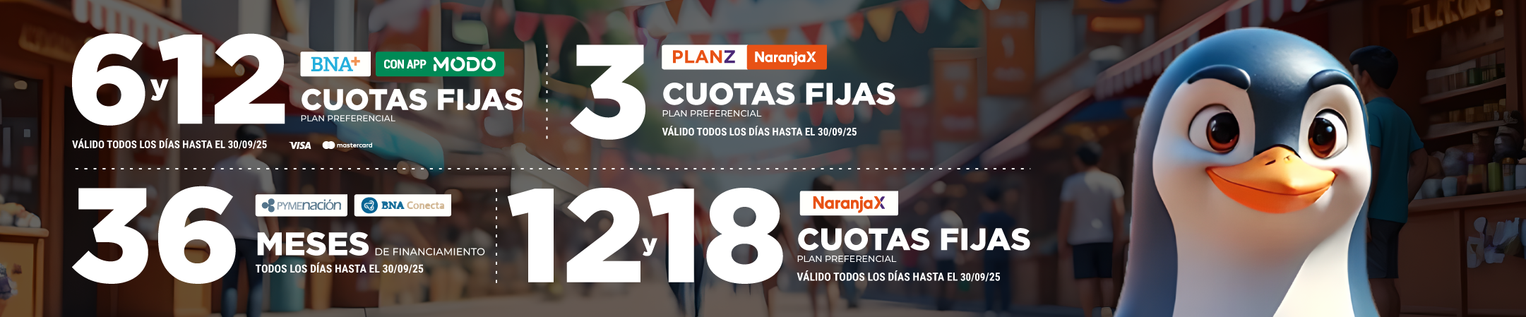 Promociones bancarias en Ibaceta equipamiento