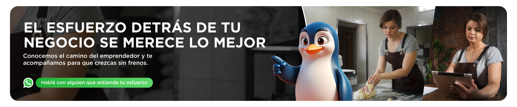 Habla con alguien que te asesore sobre tu negocio en Ibaceta