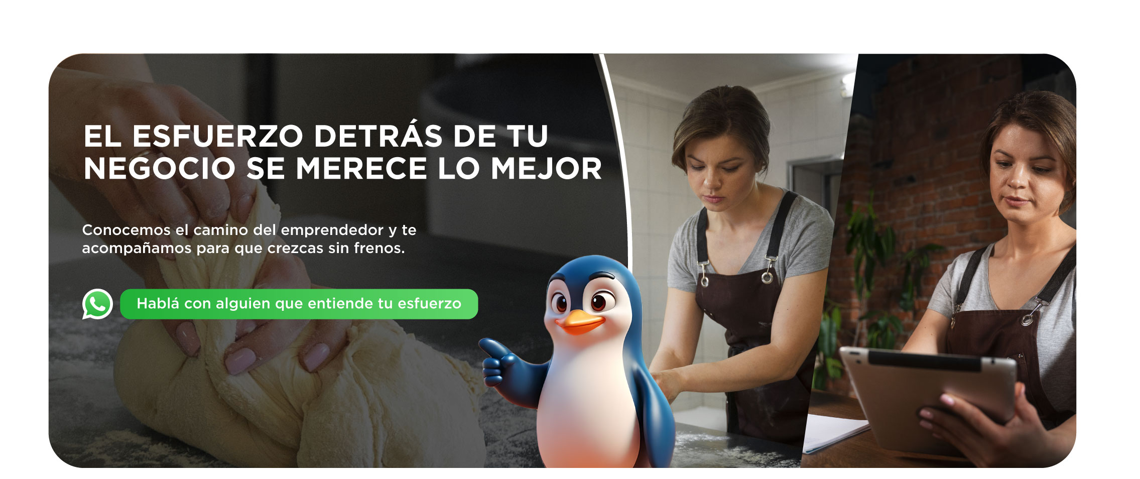 Habla con alguien que te asesore sobre tu negocio en Ibaceta