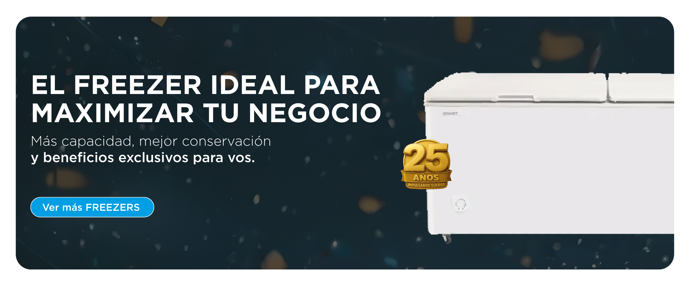 Freezers y Exhibidoras Verticales en Oferta IBACETA CYBER