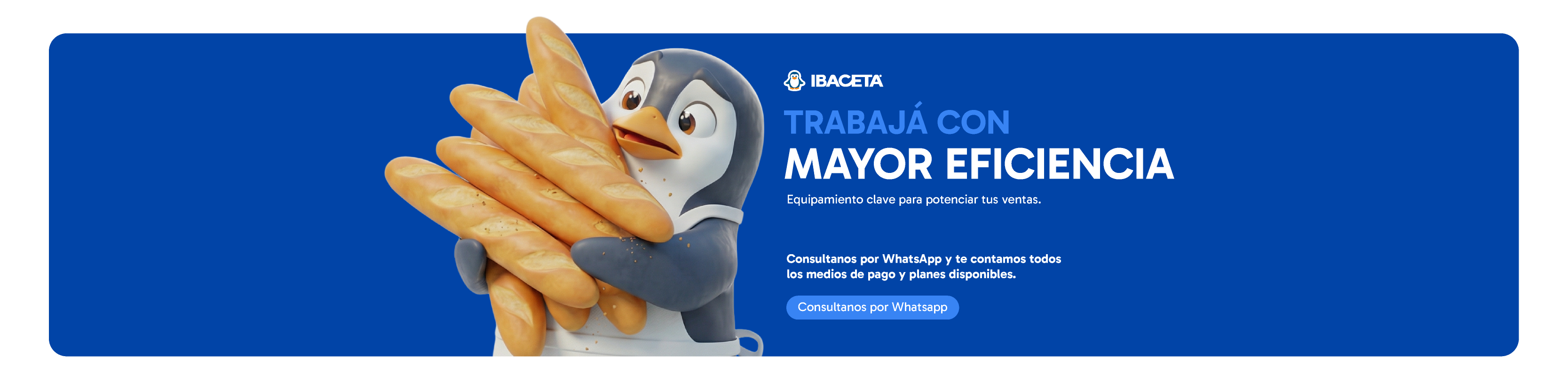 Habla con alguien que te asesore sobre tu negocio en Ibaceta