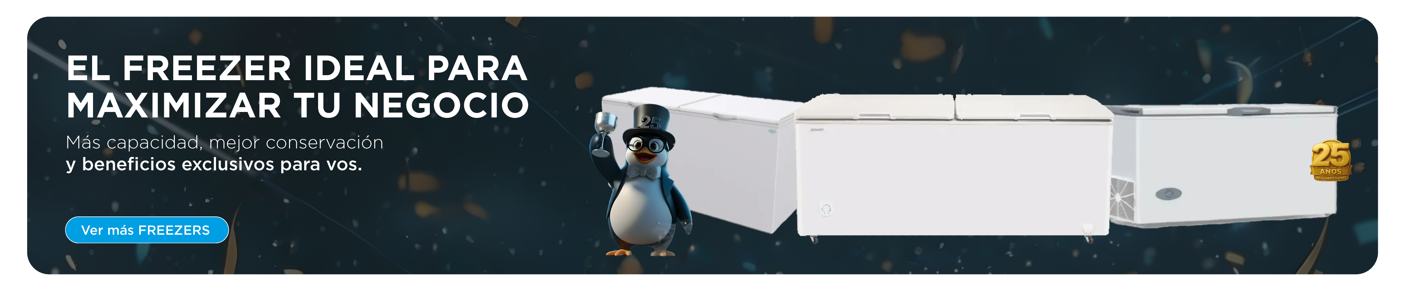 Freezers y Exhibidoras Verticales en Oferta IBACETA CYBER